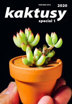 Kaktusy speciál 2020|1 - úvodní obráze	