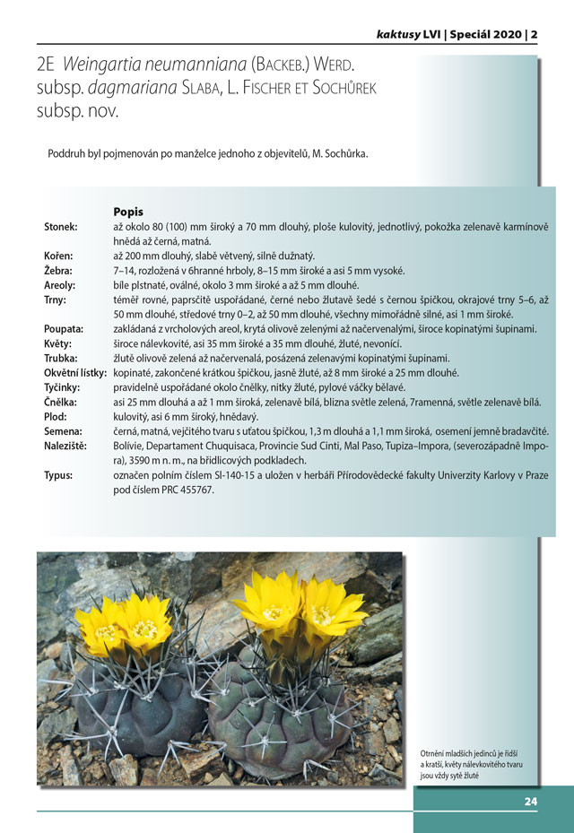 Kaktusy speciál 2020|2 - strana 24	