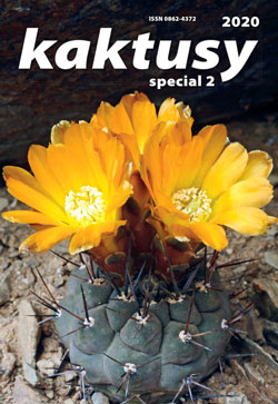 Kaktusy speciál 2020|2 - titulka	