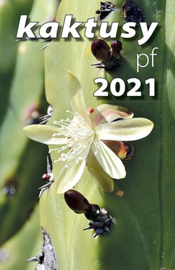 kaktusy 4/2020 pf 2021
