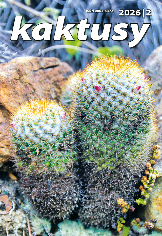 Kaktusy 2/26 obálka