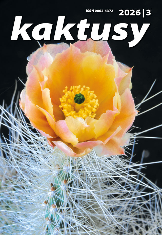 Kaktusy 3/2026 obálka