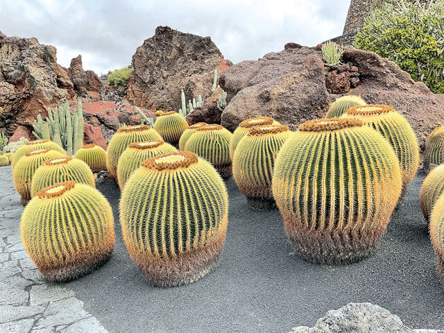 BZ Lanzarote