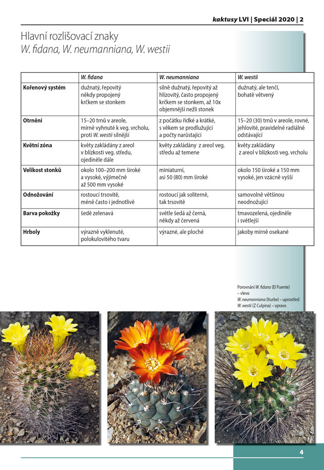 Kaktusy speciál 2020|2 - strana 4	