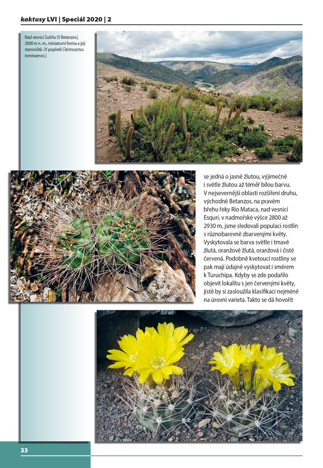 Kaktusy speciál 2020|2 - strana 30	